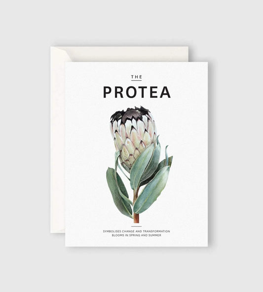 The Protea