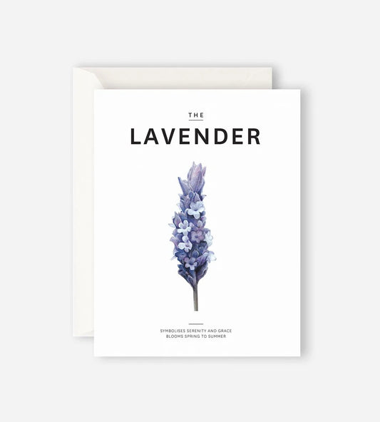 The Lavender