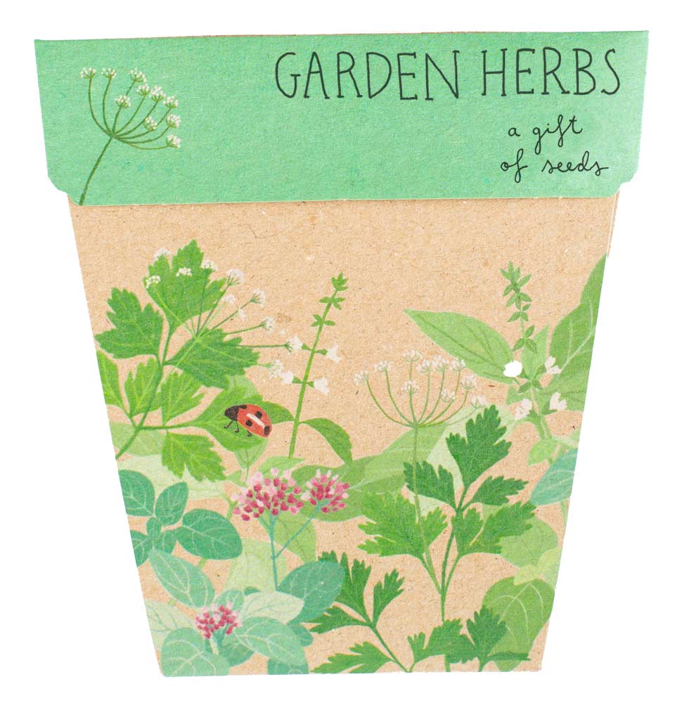 Gift of Seeds | Garden Herbs