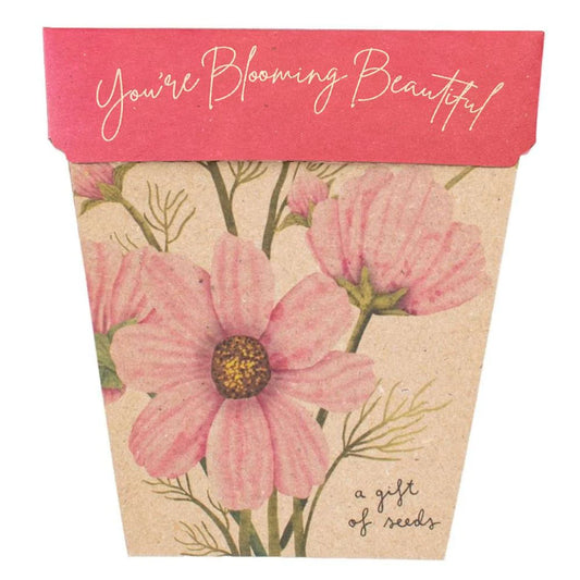 Gift of Seeds | Blooming Beautiful