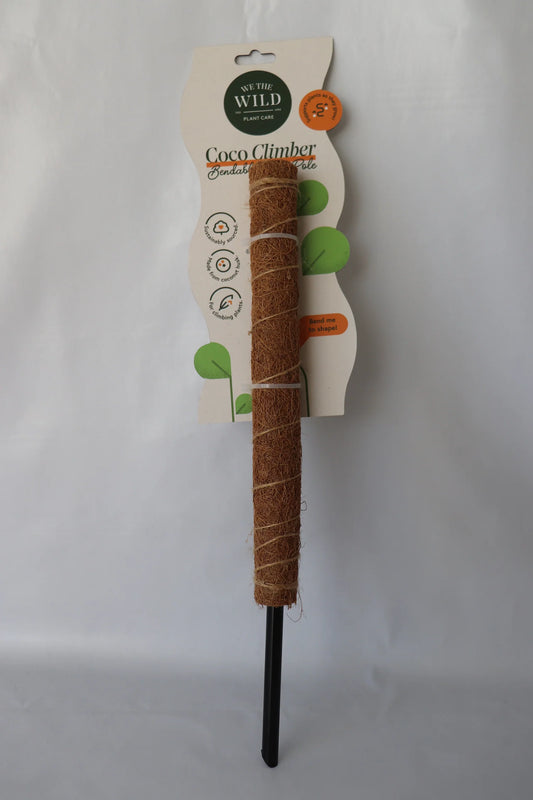 Coco Climber