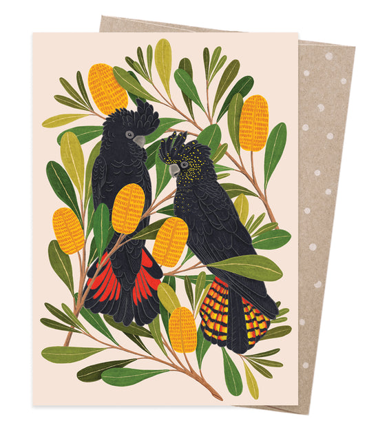 Cockatoos & Banksias