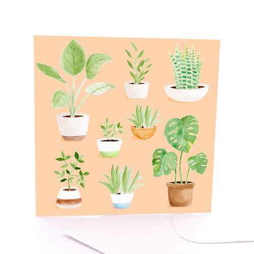 Lots of Plants