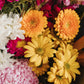 Up close view of bright colour bouquet showing snapdragons, gerberas and chrysanthemums. Clare florist that offers local delivery.