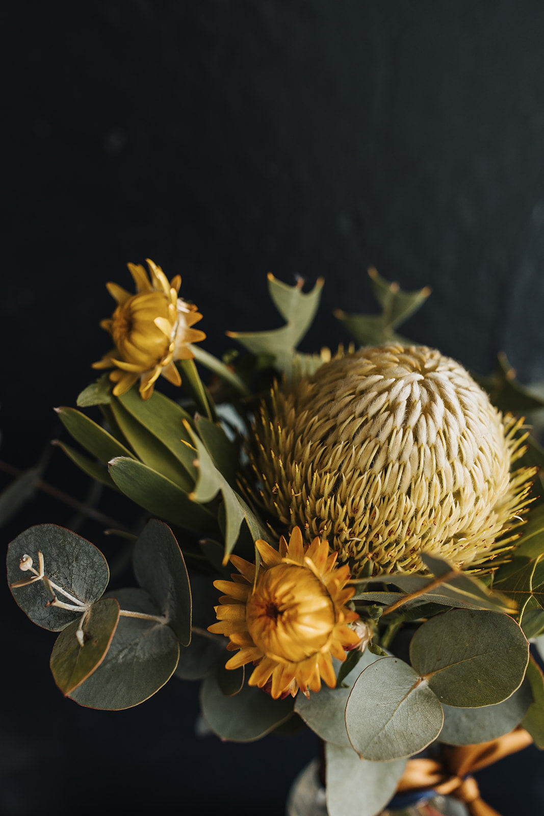 A close up of a banksia flower with green leucadendrons, straw flowers and blue gum.