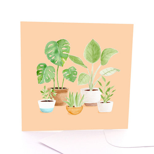 Plant Family