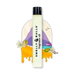 Smelly Balls Fragrance Oil 15ml
