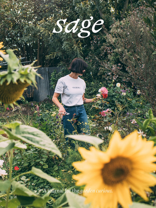sage | A journal for the garden curious