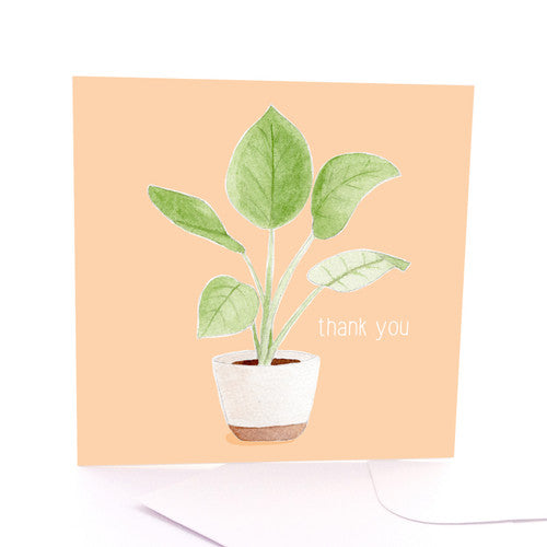 Thank You Plant