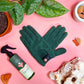 Leaf Health Duo