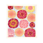 Sponge Cloth | 100% Compostable