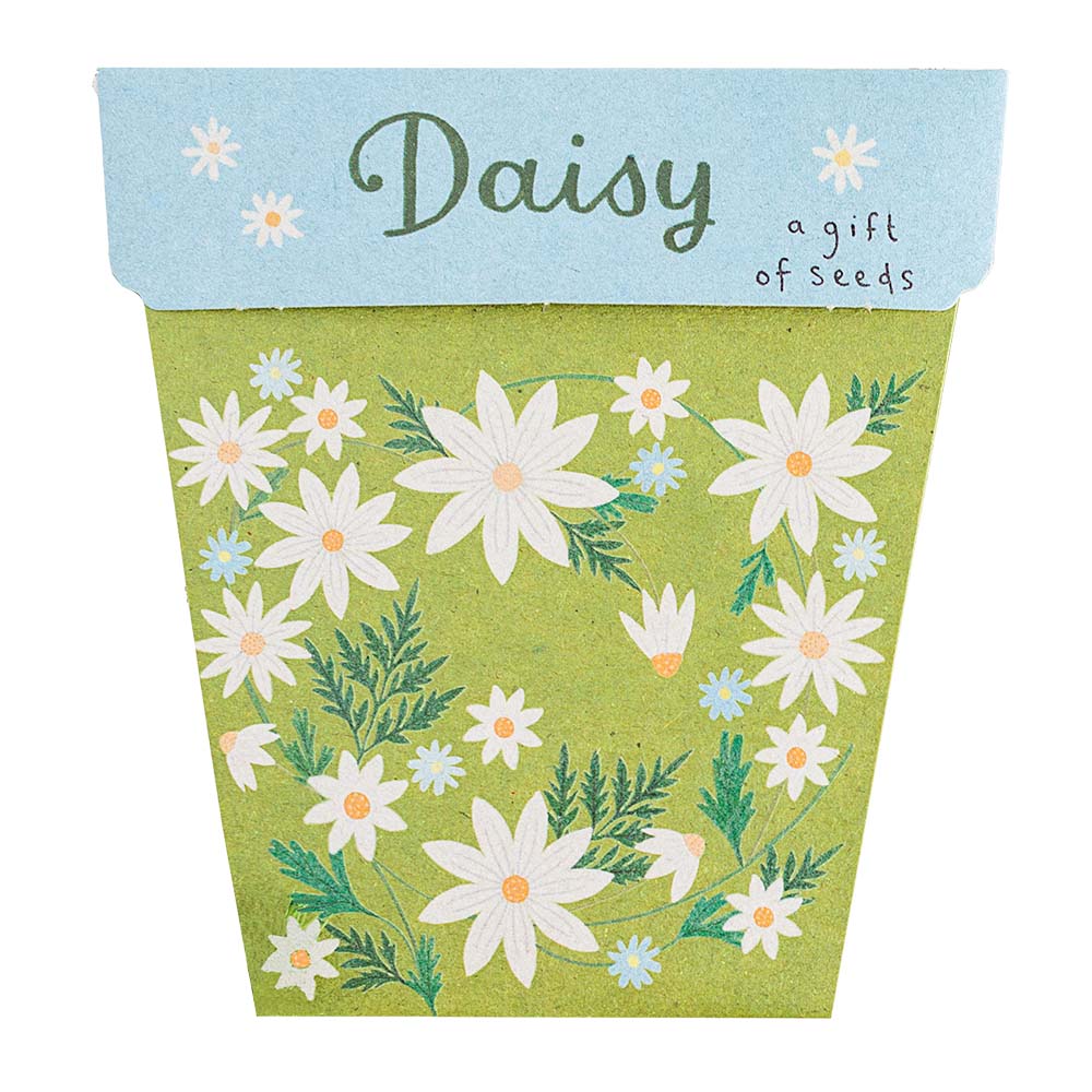 Daisy Gift of Seeds