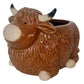 Highland Cow planter