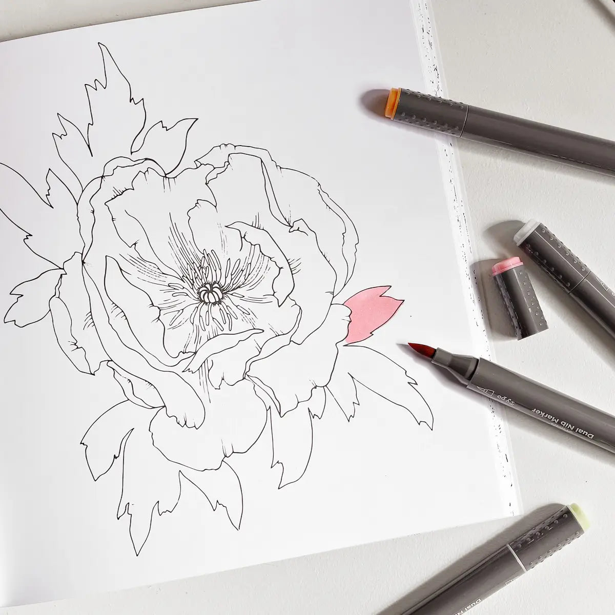 The Plant Lady | A Floral Colouring Book