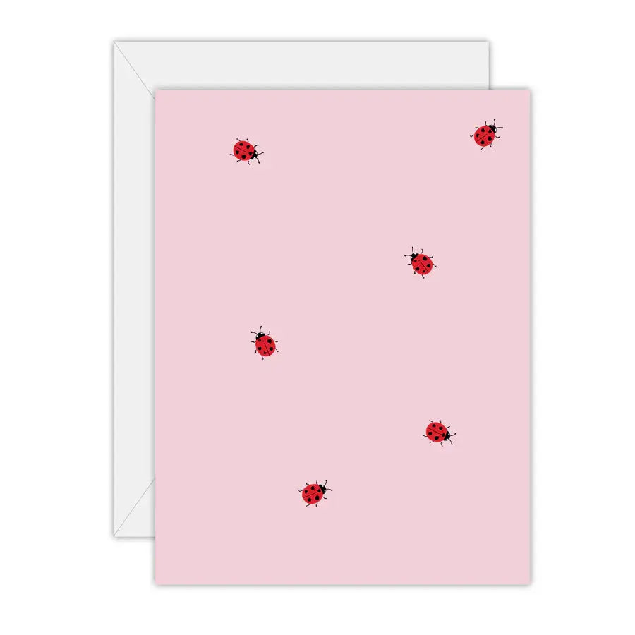 Lady Bug