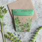 Gift of Seeds | Garden Herbs