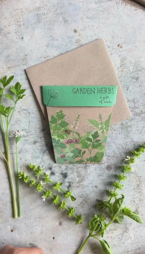 Gift of Seeds | Garden Herbs