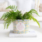 Teacher Ceramic Planter