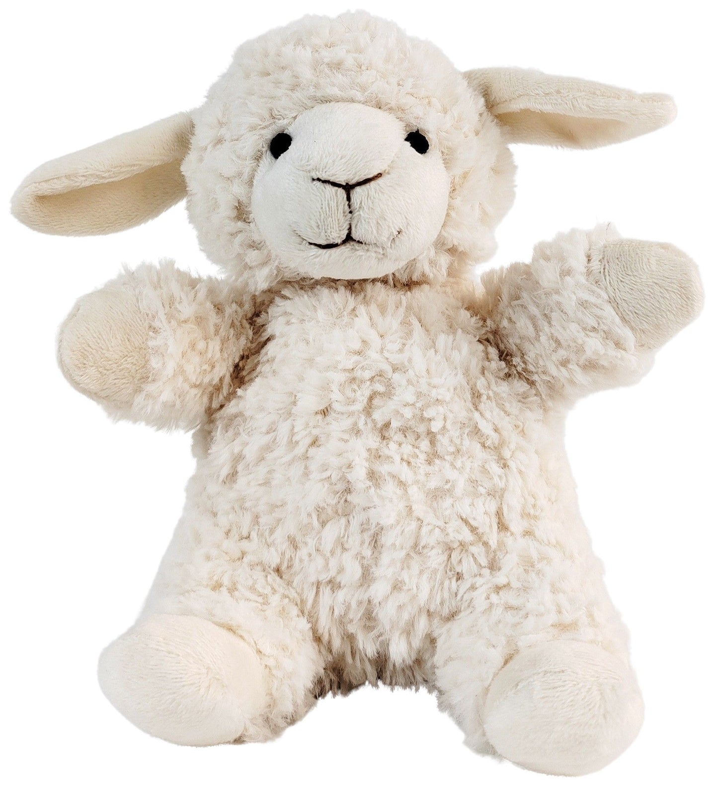 Curly Sheep Toy
