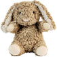 Curly Rabbit