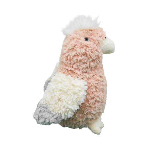 Curly Galah