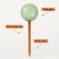Self-Watering Plant Globes