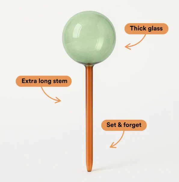 Self-Watering Plant Globes