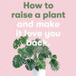 How To Raise A Plant