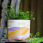 Pop Up Pot | Clouds