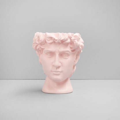 David Vase/Plant Holder