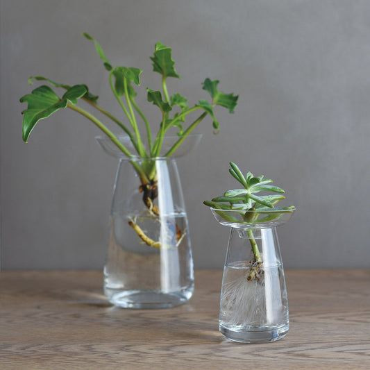 Aqua Culture Vase | Clear