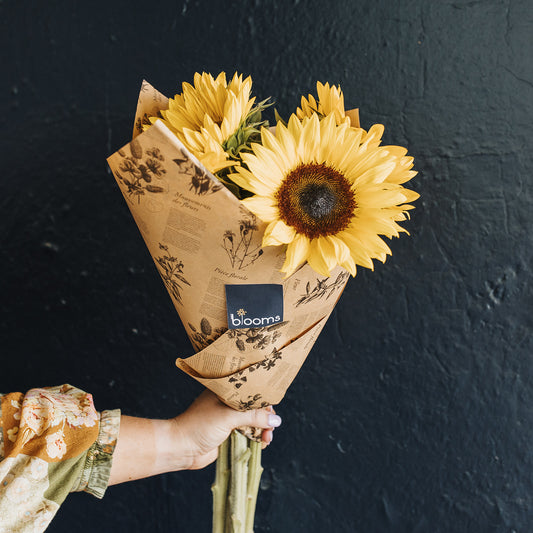 Market bunch | Sunflowers