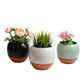 Premium Hand Finished Pot