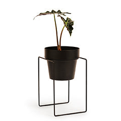 'SHRUB' Plant Stand & Pot Sml