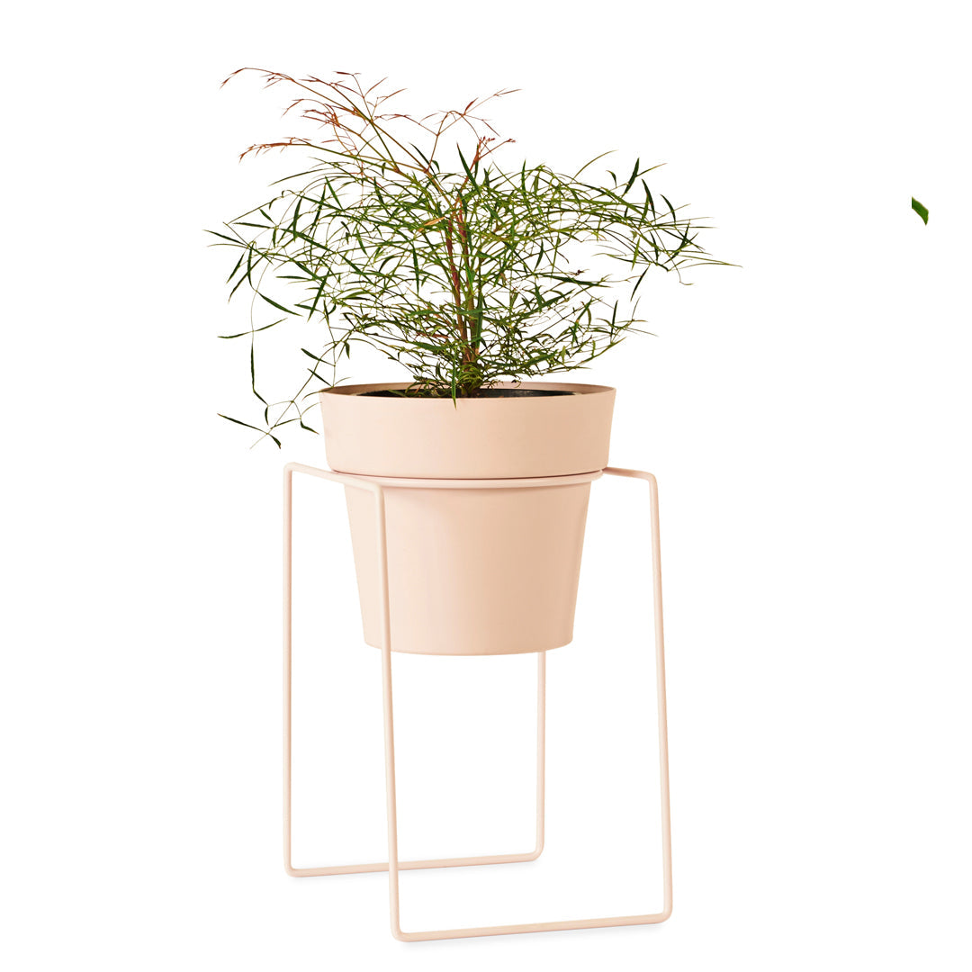 'SHRUB' Plant Stand & Pot Sml