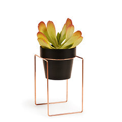 'SHRUB' Plant Stand & Pot Sml