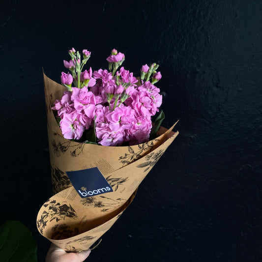 Flowers Main St Blooms