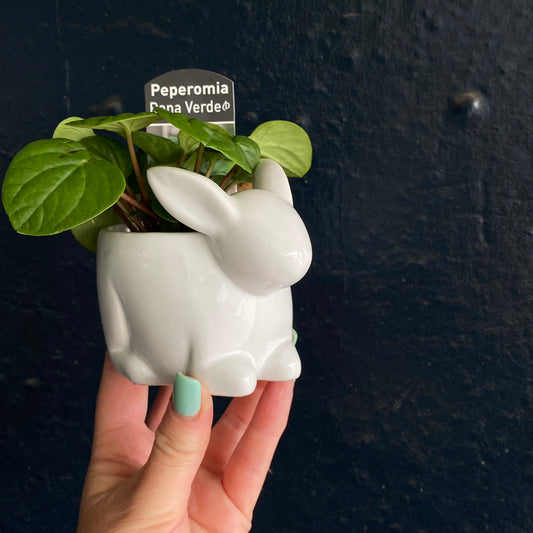 Ceramic Bunny