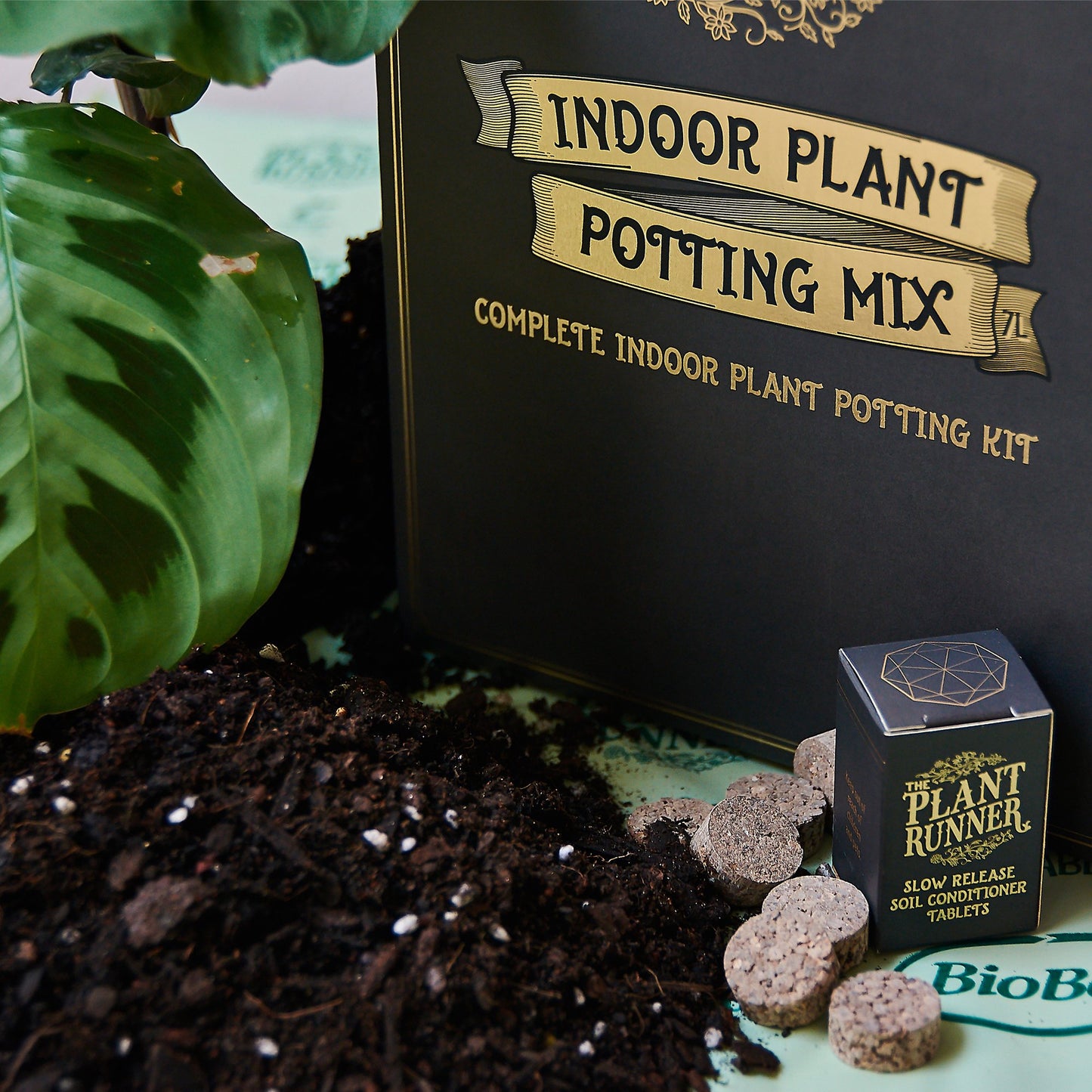 Indoor Plant Potting Mix