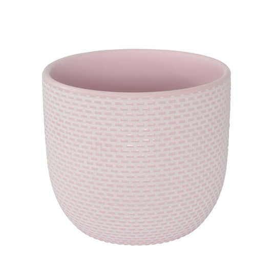 Daisy Planter | Orchid