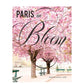 Paris In Bloom