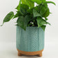 Zari Planter | Sage